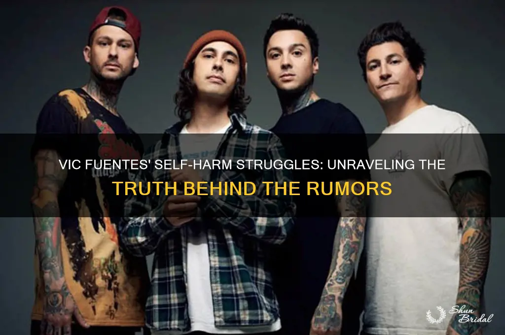 did vic from pierce the veil self harm