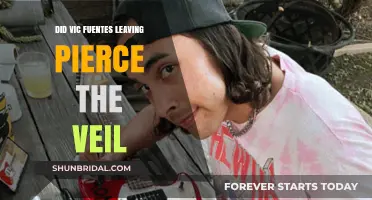 Vic Fuentes' Departure: The Truth About Pierce the Veil