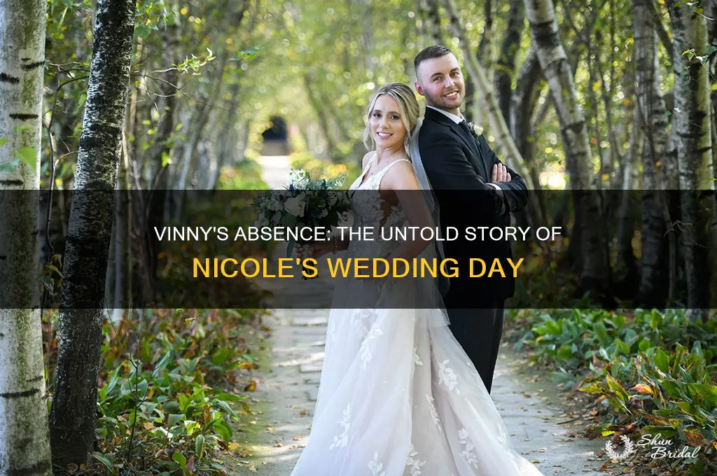 did vinny go to nicole