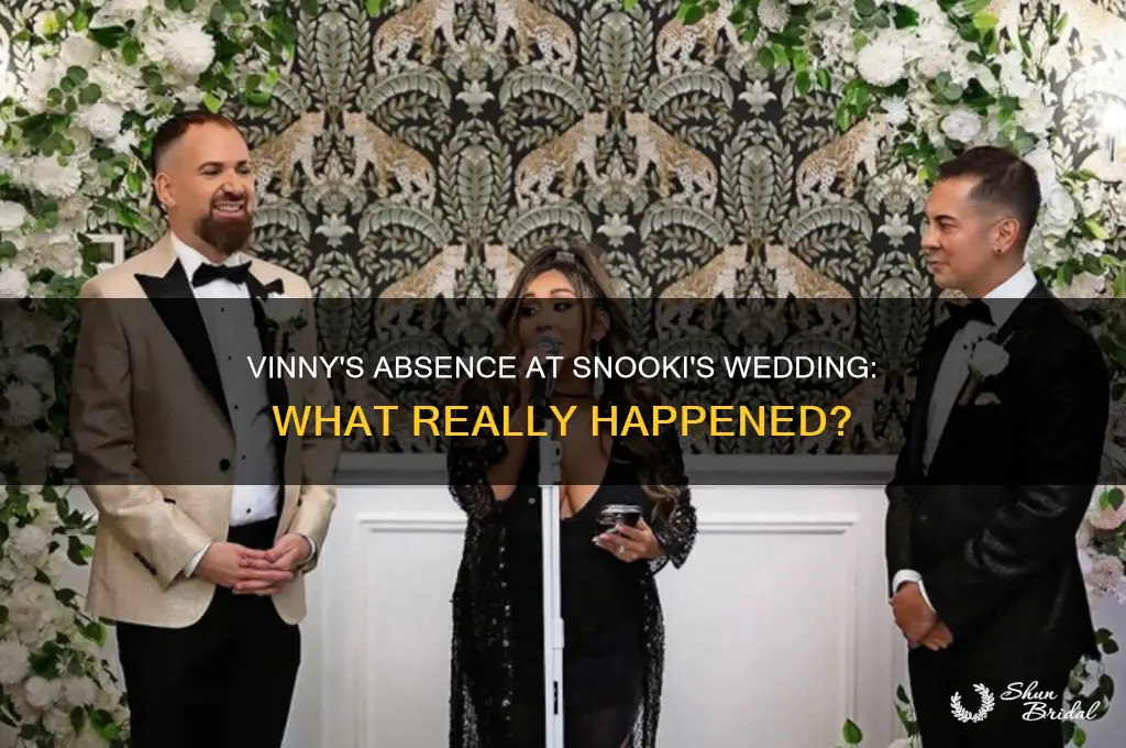did vinny go to snooki