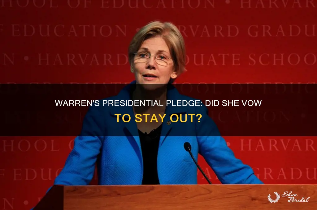 did warren vow she wouldn