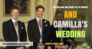 William and Harry's Presence at Charles and Camilla's Wedding
