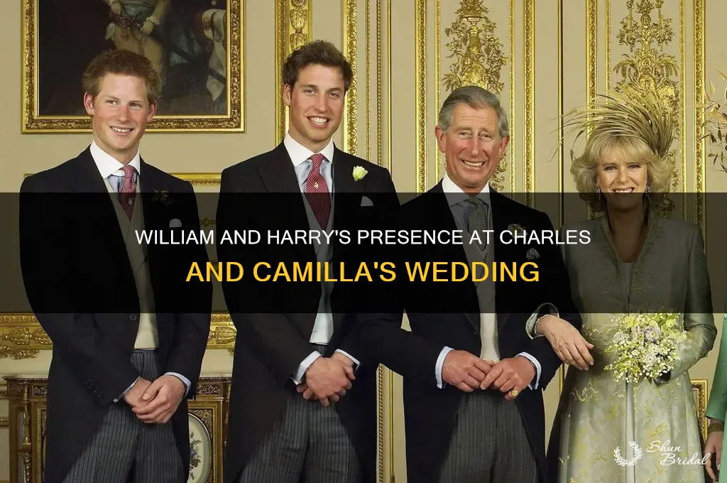 did william and harry go to charles and camilla