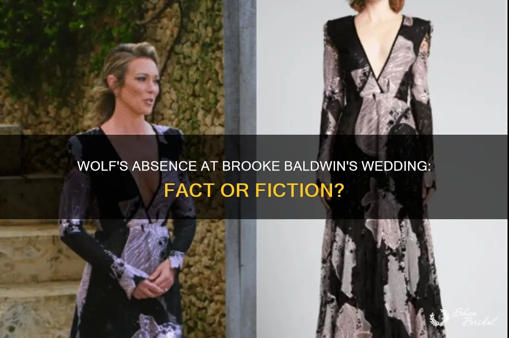 did wolf go to brooke baldwin