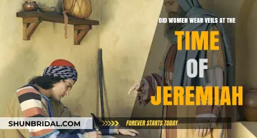 Veiled Truths: Exploring Women's Head Coverings in Jeremiah's Era