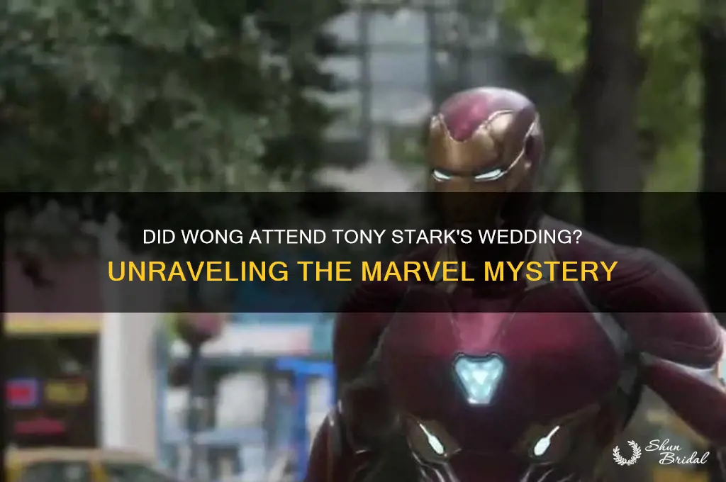 did wong go to tony stark