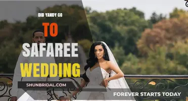 Did Yandy Attend Safaree's Wedding? Unraveling the Truth Behind the Rumors