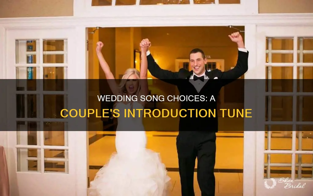 did you have a song for wedding intrdocution