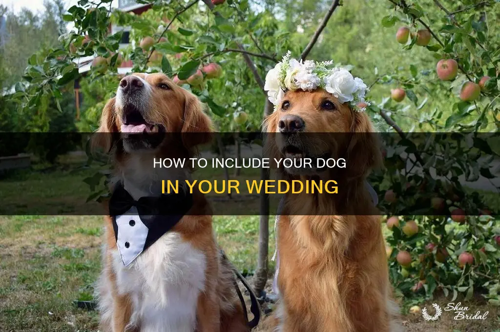 did you include your dog in your wedding