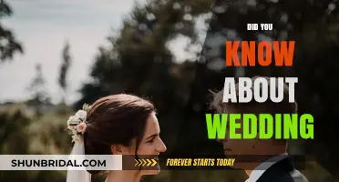 Unveiling Wedding Traditions: A Cultural Journey