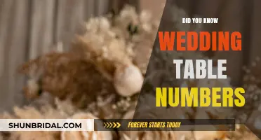 Table Numbers: A Wedding Reception Essential