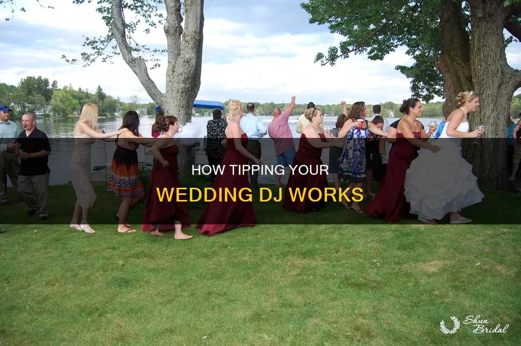 did you tip your wedding dj