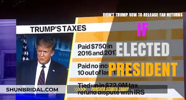 Trump's Unfulfilled Promise: Tax Returns Still Hidden Post-Presidency