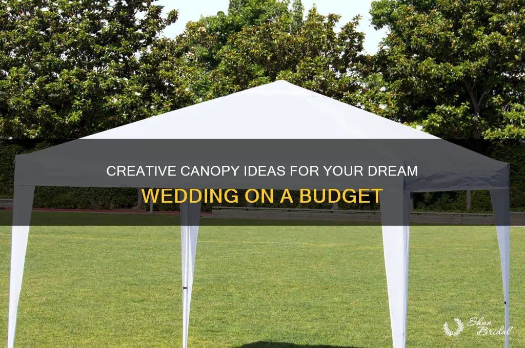 do a cheap wedding canopy