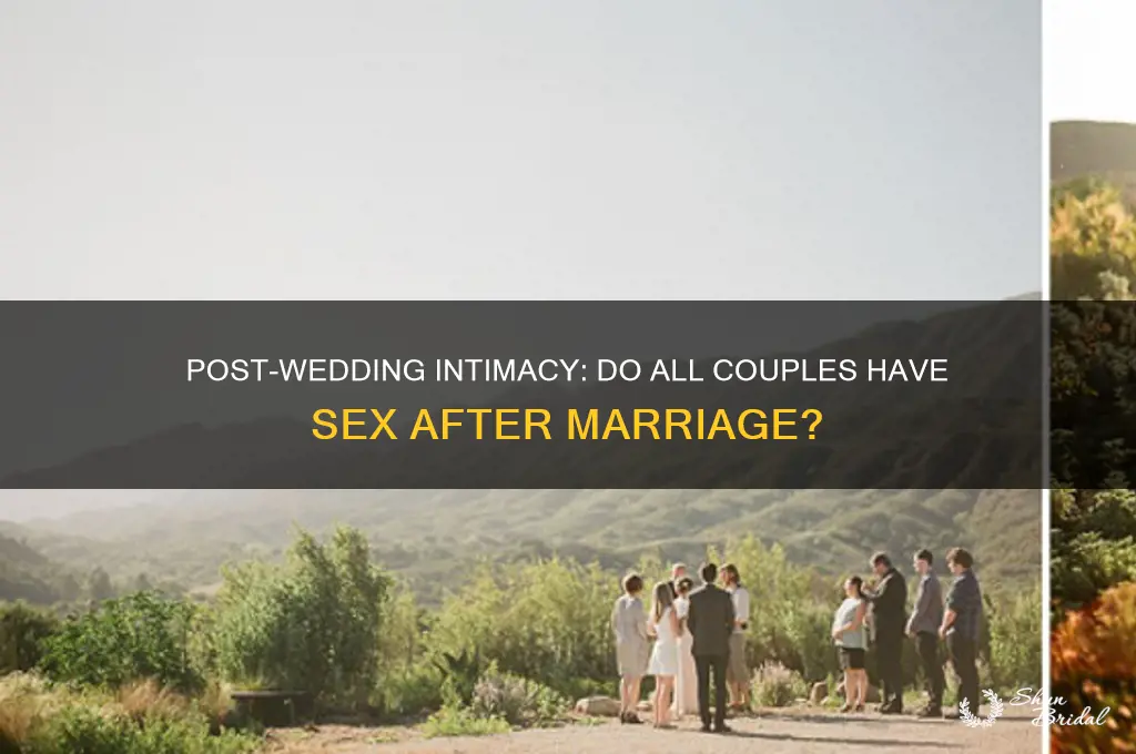 do all couples have sex after their wedding day