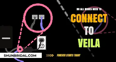 Do All Nodes Need to Connect to Veila? Exploring Network Requirements
