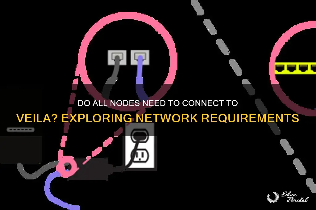 do all nodes need to connect to veila