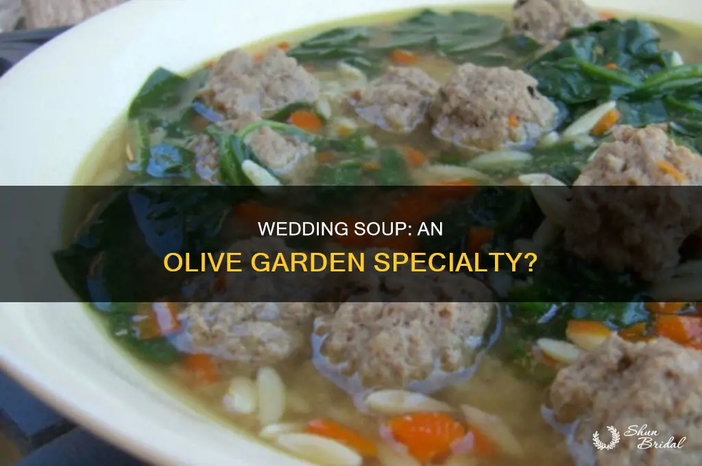 do all olive gardens have wedding soup