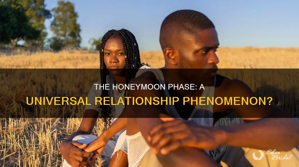 do all relationships have a honeymoon phase