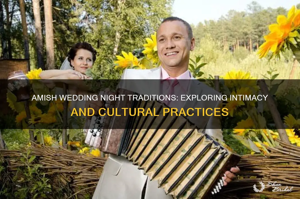 do amish have sex on their wedding night