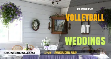 Amish Wedding Traditions: Volleyball and Celebration Explained