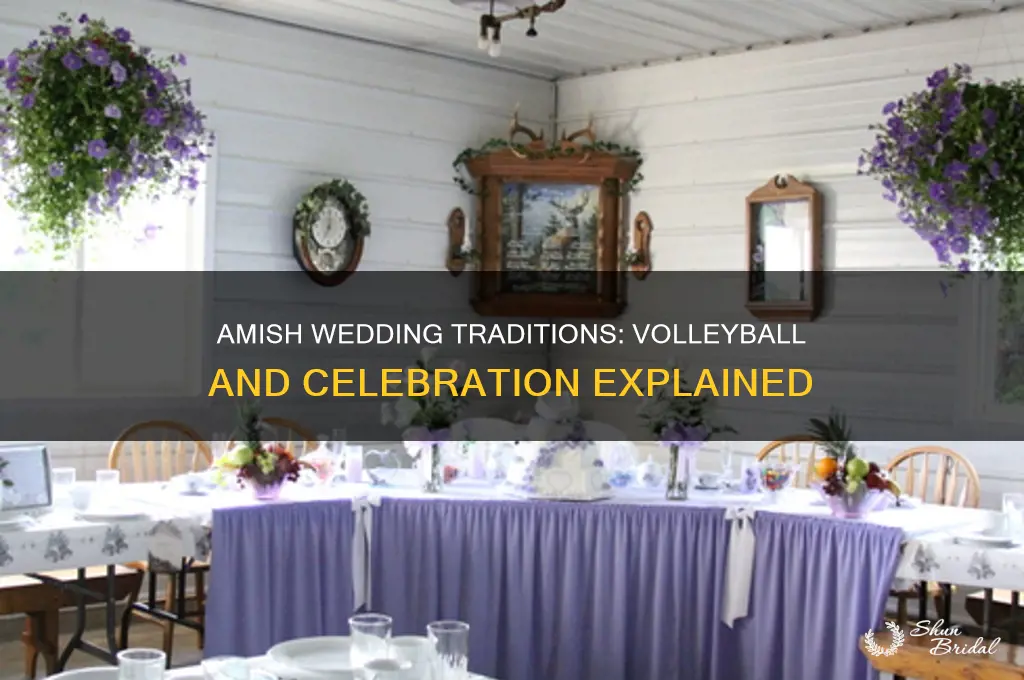 do amish play volleyball at weddings