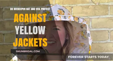 Beekeeper Hat and Veil: Effective Protection Against Yellow Jackets?