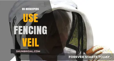 Protective Gear for Beekeepers: The Role of Fencing Veils Explained