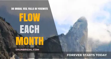 Do Bridalveil Falls in Yosemite Flow Year-Round? Monthly Insights