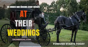 Horse-Drawn Weddings: A Dream Come True?