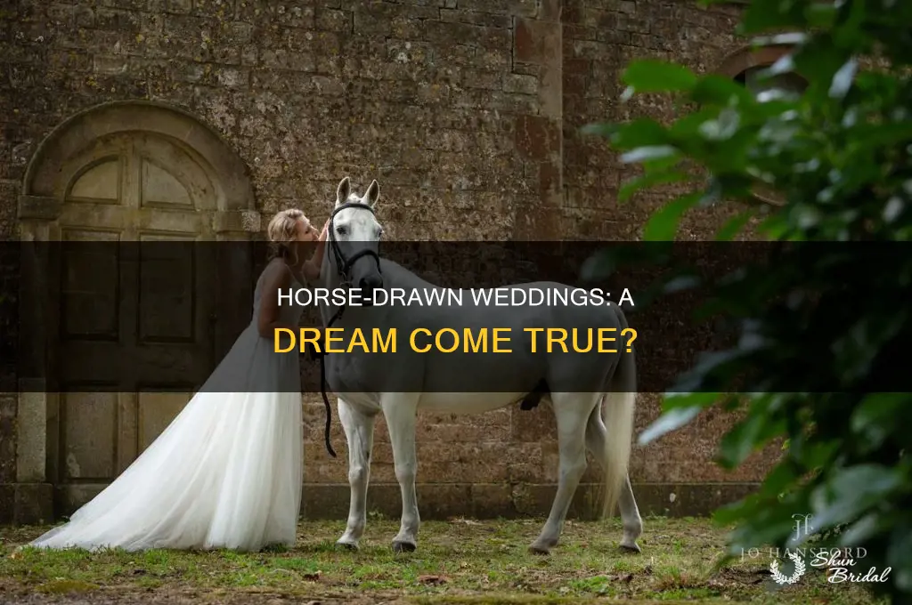 do brides and grooms want horses at their weddings