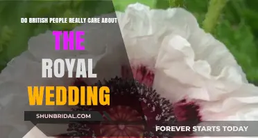 Royal Wedding Fever: Do British People Truly Care?