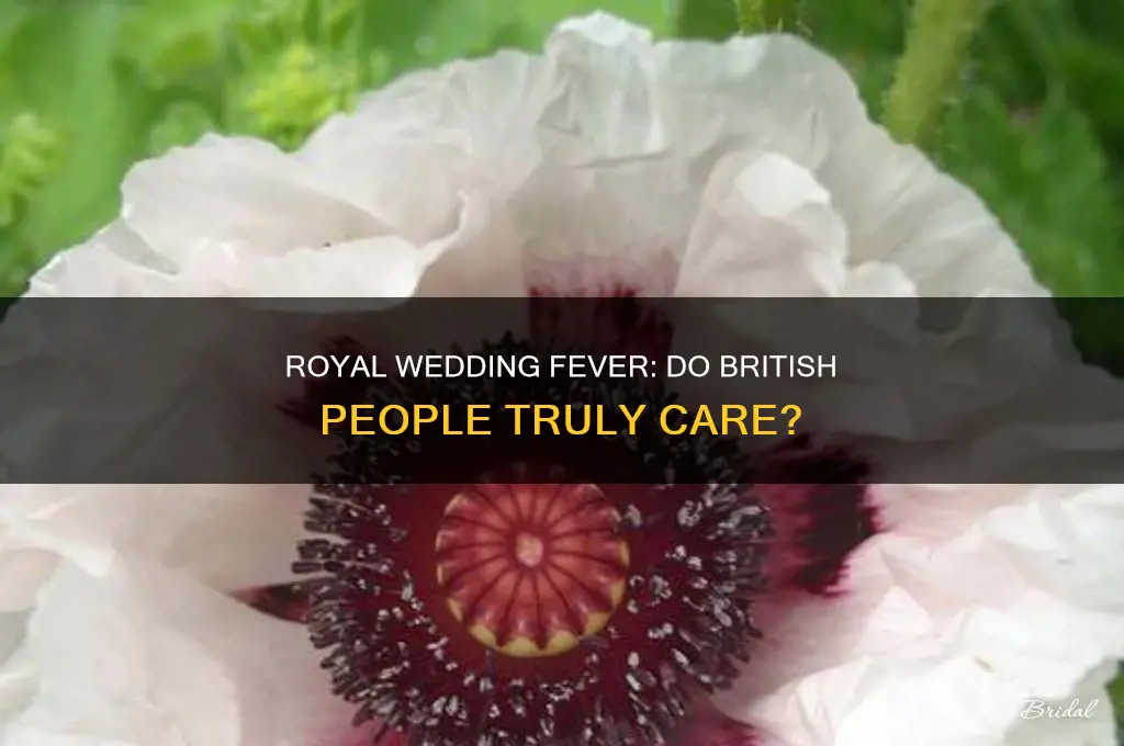 do british people really care about the royal wedding