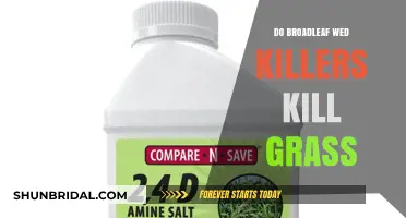 Broadleaf Weed Killers: Are Grass Lawns Safe?