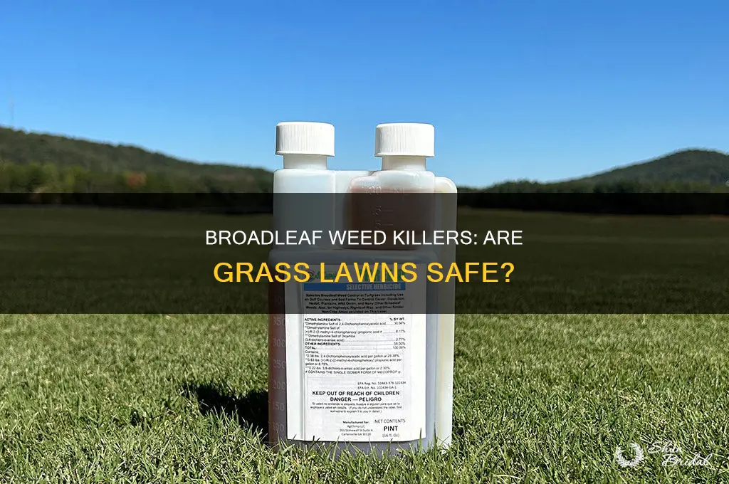 do broadleaf wed killers kill grass