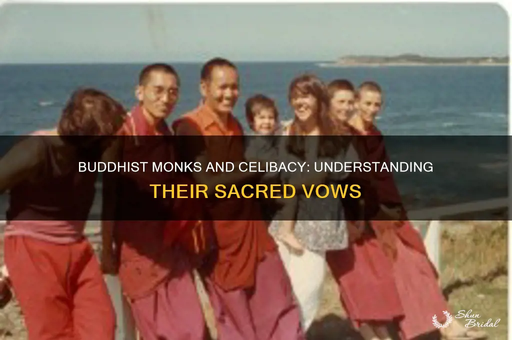 do buddhist monks take a vow of celibacy