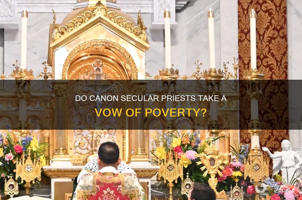 do canon secular take a vow of poverty