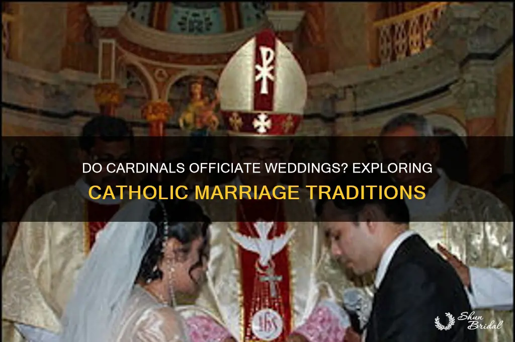 do cardinals officiate weddings