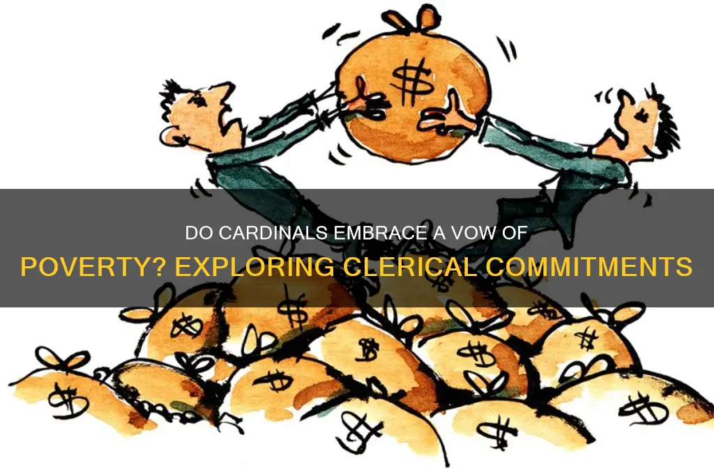do cardinals take a vow of poverty