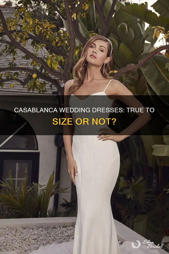 do casablanca wedding dresses run small