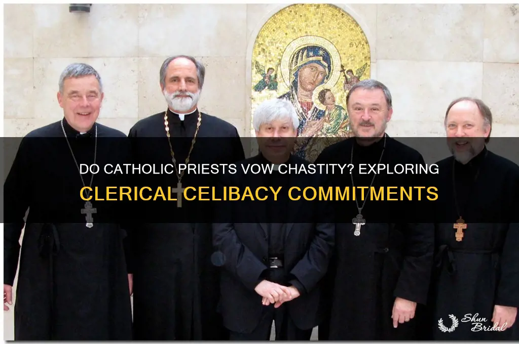 do catholic priests take a vow of chastity
