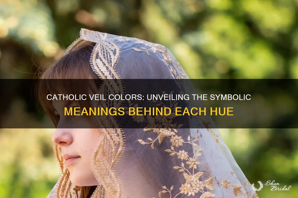 do catholic veil colors have meanings