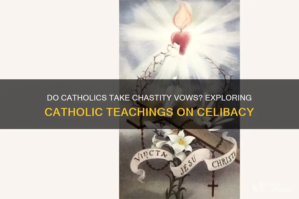do catholics believe in castity vows