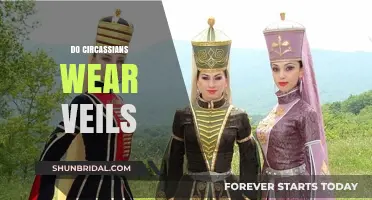 Do Circassians Wear Veils? Exploring Cultural Practices and Traditions