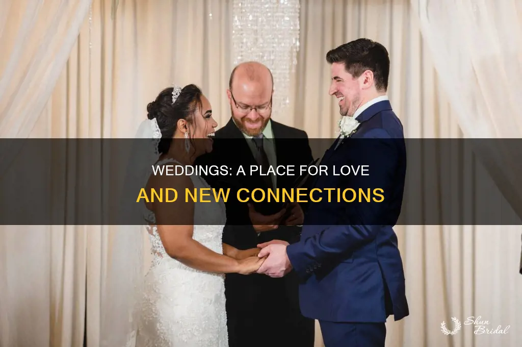 do couples actually meet at weddings