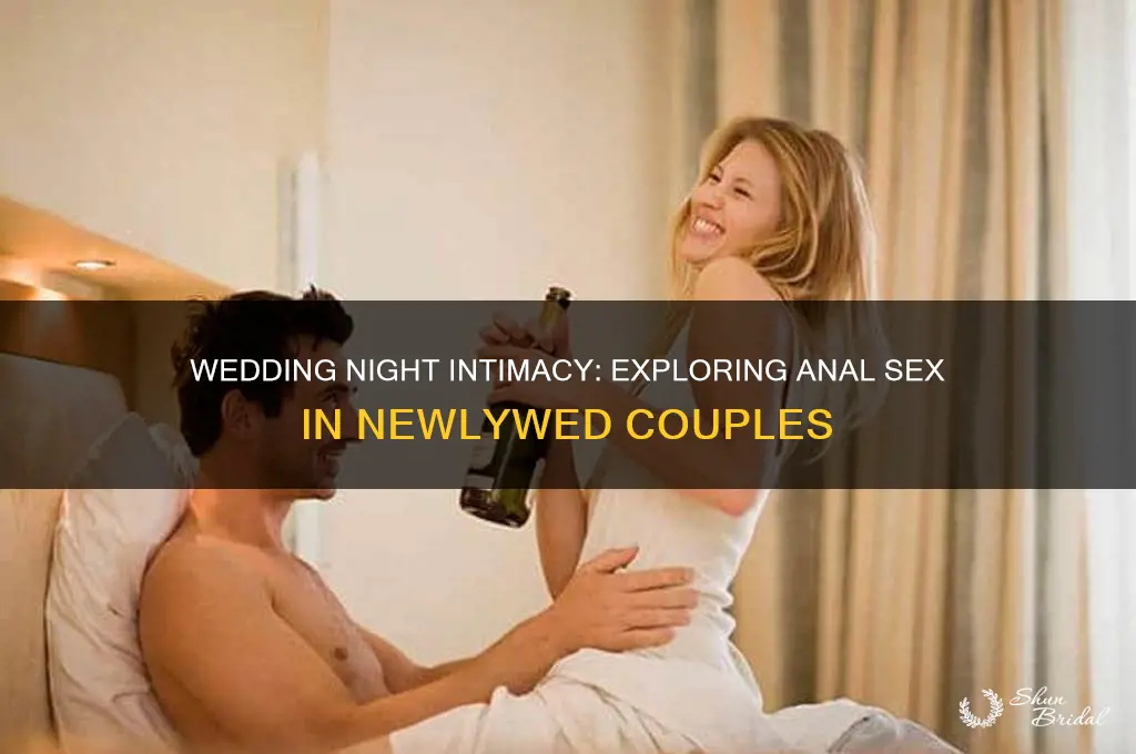 do couples have anal sex on their wedding night