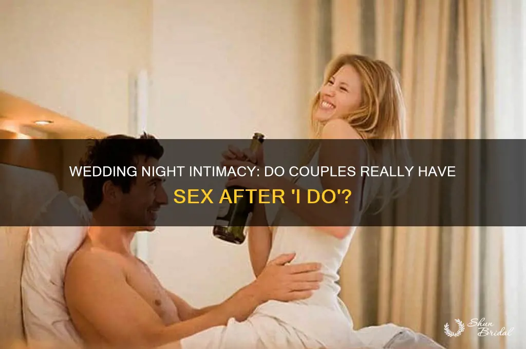 do couples have sex on their wedding night
