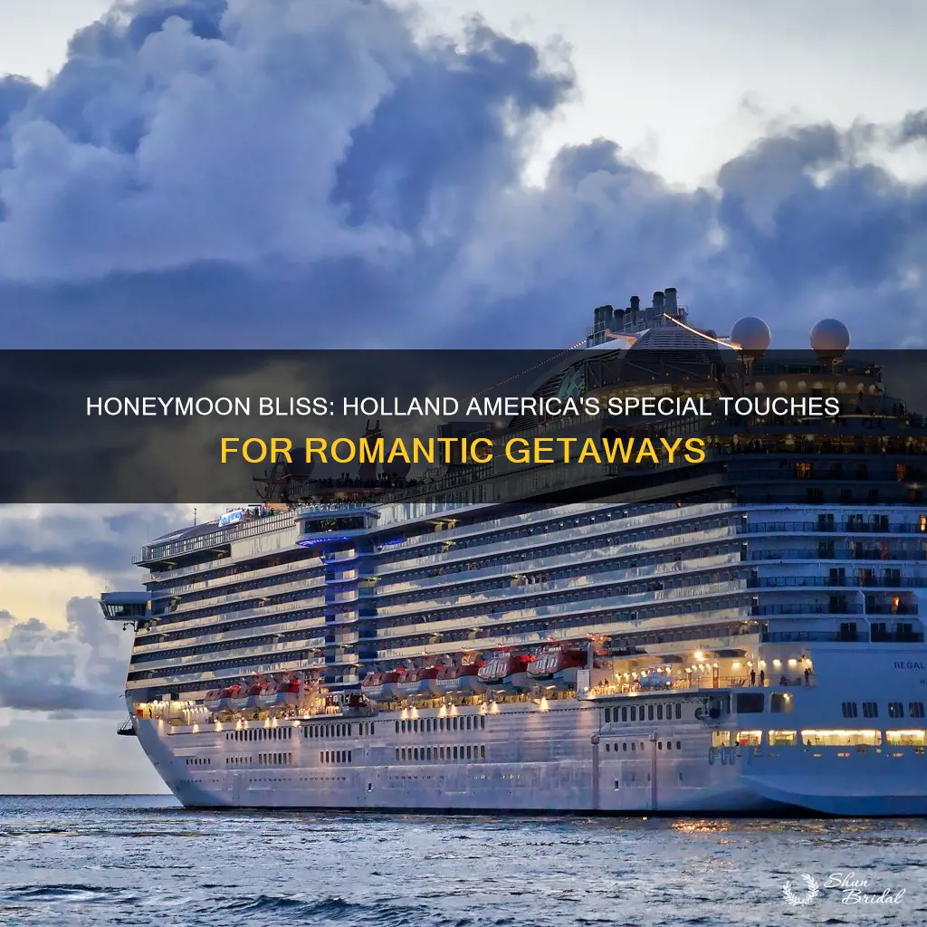 do cruise ships do anything special for honeymoon holland america