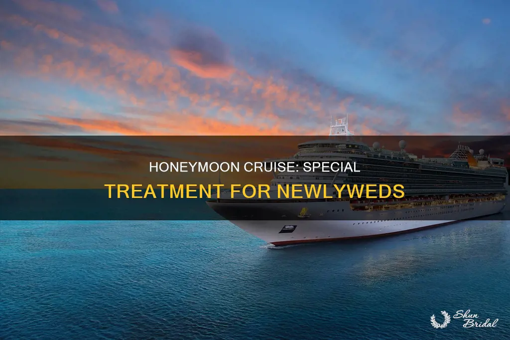 do cruise ships do anything special for honeymoon