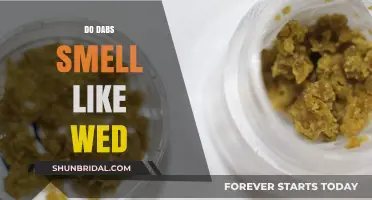 Dabs and Weed: What's the Smell Difference?